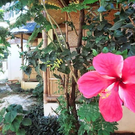 פורטו פרינססה Pagdayon Traveler'S Inn מראה חיצוני תמונה